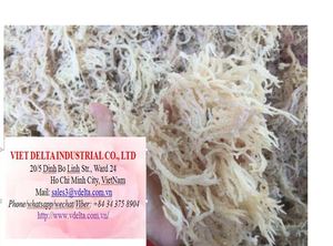 สาหร่ายมอสทะเล/มอสไอริช - ปลูกแบบธรรมชาติจากเวียดนาม/ คิโอ ฮยอนห์ - Product Image 2
