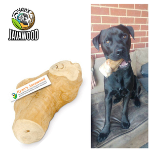 Juguetes para masticar para perros, mordedores para interiores, con forma de hueso, de alta calidad, seguro, gran oferta - Product Image 4