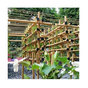 Varas de Bambú/ Materiales Duraderos y Sostenibles en el Mundo de los Productos de Construcción Ecológica - Product Image 1