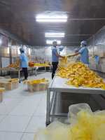 Zachte Zure AD Sirop Gesneden Gedroogde Mango Natuurlijke Premium Kwaliteit Bulk Vietnam GMO voor Export Groothandel