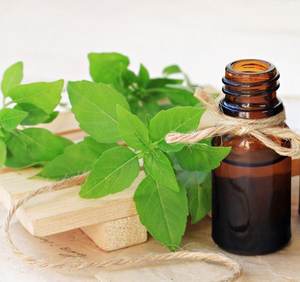 Aceite esencial de albahaca Linalool de alta calidad, aceite portador razonable suministrado por la fábrica con etiqueta personalizada a bajo precio - Product Image 1