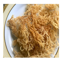 Algas marinas secas de la mejor calidad, Seamoss dorados hechos de 100% Natural, el mejor precio en Vietnam