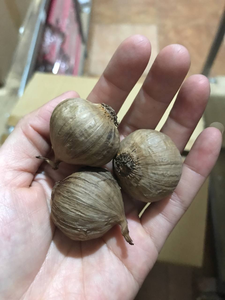 Procedimientos sencillos, precio competitivo para ajo negro - Product Image 6