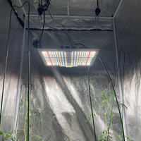 Lampe de croissance Led, cree G1000 H, 660nm, IR 730nm, éclairage horticole pour culture hydroponique de plantes et médicaments, haute luminosité