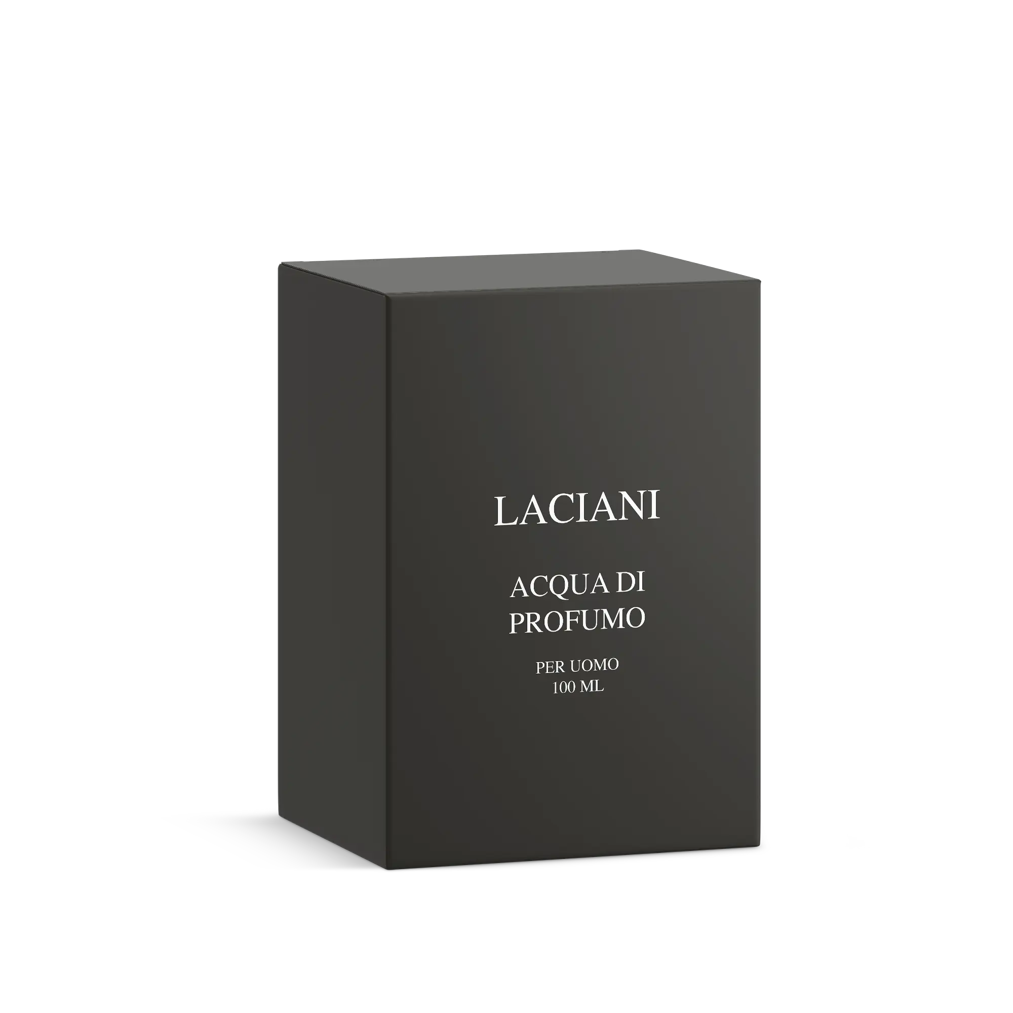 Laciani Men Profumo 100 ml Parfum Fragrance Scent Grooming Natural Soft Skin Care igiene personale OEM OBM Private Label