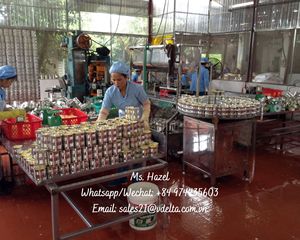 Ananas frais en conserve du delta du Vietnam, tranches de fruits enrobées de sirop, ananas en tranches conservées 1kg pour la restauration et l'industrie des boissons - Product Image 5