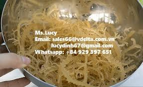 สาหร่ายทะเลอบแห้งออร์แกนิกคุณภาพสูง บรรจุถุง  ติดต่อคุณลิลี่ +84 906927736 ได้รับการรับรองมาตรฐาน HACCP - Product Image 6