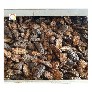 Fruta de Noni Seca de Media Pieza de Nueva Cosecha, Rebanadas de Fruta de Noni Seca de Alta Calidad al Precio Más Bajo del Mercado Vietnamita - Product Image 1