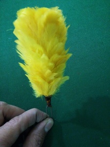 Custom Made Yellow Hackle Plume para sombreros Patrón teñido - Product Image 6