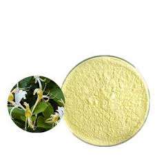 Extrait de fleur de chèvrefeuille prix le moins cher - Product Image 4