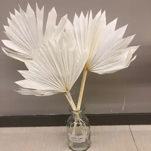 T04286 Boho Floral Decoration Tropical Red White Pink Shades Mini Fan Dry Palm Leaves Dried Palm Leaves For Wedding Decor