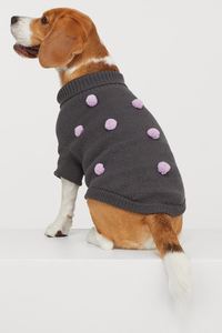 การออกแบบที่กำหนดเองขายส่งสัตว์เลี้ยงเครื่องแต่งกาย/อุปกรณ์เสริม/สัตว์เลี้ยงเสื้อ/แจ็คเก็ต2021 - Product Image 6