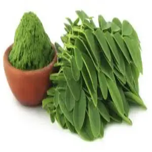 100% Pure Health Supplement Moringa 100% Pure Organic Powder MOQ Supplier At Best Wholesale Low Price