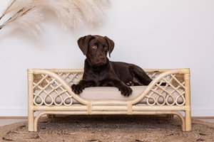 <b>Rattan</b> <b>Dog</b> <b>Beds</b> Bamboo Pet <b>Bed</b> Wholesale Cheap Price - Product Image 5