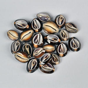 การตกแต่งบ้านเปลือกหอยทะเลธรรมชาติงานฝีมือด้วยมือแบบทำมือเป็นมิตรกับสิ่งแวดล้อมสไตล์สัตว์ทรงกลมกำหนดขนาด ID;10127097 - Product Image 2