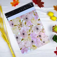 Benutzer definierte Farbe Vietnam Fabrik Mailing Bags Umschläge Poly Mailer Kuriert asche Für Post von Hanpak
