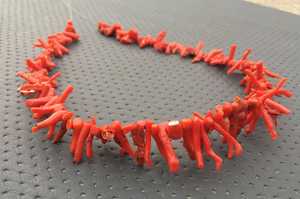 125 pièces de corail rouge naturel authentique, brins bruts en forme d'arbre, 3x8-6x28 MM, non traités, pour la fabrication de bijoux - Product Image 4