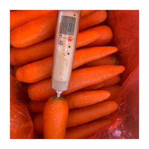 Zanahoria Roja Orgánica de Nueva Cosecha, Procesada IQF, Variedad Roja Larga, Color Rojo Anaranjado, Exportación, Sabor a Zanahoria Fresca, a Granel, Cartón de 1 kg, Zanahoria Congelada - Product Image 2