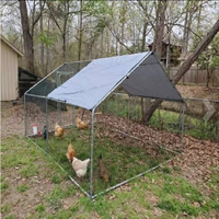 Poulailler en métal à faire soi-même de 13 x 10 pieds, enclos à poules en fer avec couverture imperméable bleue et fermeture à bouton à motif animal