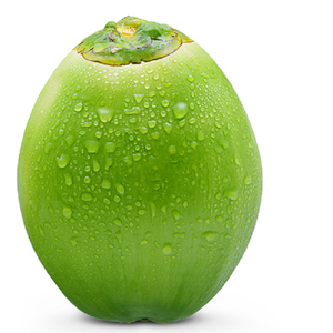 Carne de coco de Canadá - Product Image 3