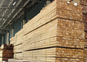 Madera maciza de alta calidad para uso en el hogar, madera de alta calidad utilizada para aplicaciones externas, construcción, marcos de ventana y puerta, muebles, superventas - Product Image 6