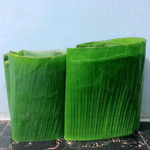 Feuille de banane fraîche écologique, 1 pièce, pour emballage vert - Product Image 2