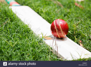 ลูกบอลคริกเก็ตหนังสำหรับผู้หญิงน้ำหนัก147กรัม - Product Image 3