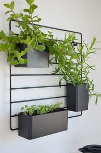 Customized Attractive Eco-Friendly Durable White Black Powder Coated Wall Hanging Planters Flower <b>Pot</b> Rack for Vegetable Plants - Product Image 2
