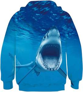 Dernière Conception Enfants Pull Entièrement Sublimé Personnalisé 100% polyester Hoodies - Product Image 6