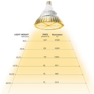 Kapalı LED bitki büyümek şerit ışıklar 5050 SMD 16.4ft su geçirmez şerit ışık ile 12V adaptör sera hidroponik için - Product Image 3