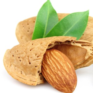 Vente en gros de fabrication de noix de cajou de qualité supérieure de haute qualité gros grain sel noix de cajou cuites au four lecture en vrac pour l'approvisionnement en vrac - Product Image 4