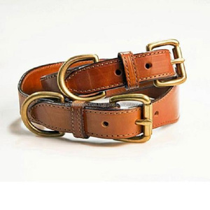 Collar de cuero para perros, accesorio de 2 pulgadas de ancho con acabado bronceado, de alta calidad, con bordes redondeados, costura completa con hardware de latón - Product Image 2