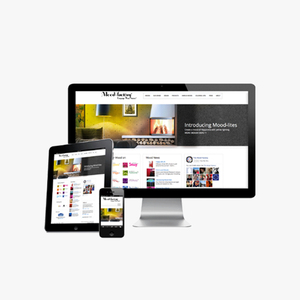 Top Website Design & Development Company in India | Award Winning Website Design & Development Services by Webroot Infosoft - Product Image 5