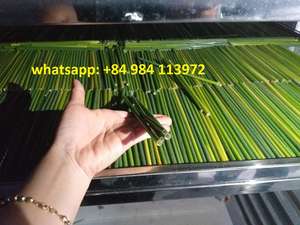 Top vendeur 100% pailles en silicone naturel bar écologique boissons emballées jetables à boire logo personnalisé haute durabilité - Product Image 2