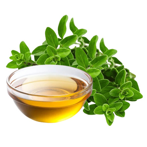 Huiles essentielles certifiées biologiques Pure Origanum Oil Bulk - High Carvacrol Organic Oil - Product Image 1