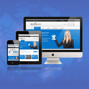 Professional Website Design and SEO Services Provider | Top Notch Website Design and <b>Development</b> Services by Webroot Infosoft - Product Image 1
