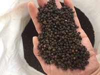 POIVRE NOIR 50kg Séché AD Brut Traitement Vietnam Origine Nettoyé à la Machine WA 0084 989 322 607
