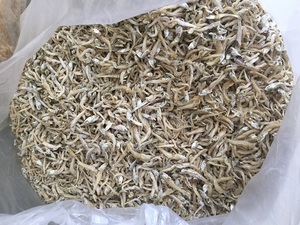 Cá Cơm Khô Chất Lượng Cao - Product Image 2