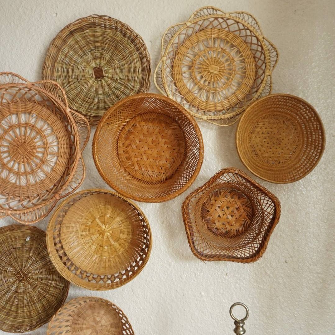 Couleur naturelle des herbiers