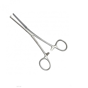 Bengolea fórceps - Product Image 1
