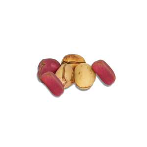 เมล็ดโกโก้ขม/เมล็ดการ์ซีเนีย โคล่า คุณภาพสูง บรรจุภัณฑ์ 50 กก. เกรดพรีเมียม - Product Image 1