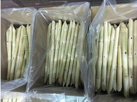 Jus de canne à sucre naturel du Vietnam - Vente en gros, surgelé, sans sucre, 100% pur, fraîchement pressé, en emballage en vrac