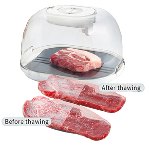 Plateau à dégivrage rapide, 1 pièce, ustensile de cuisine permettant de gagner de l'espace - Product Image 5