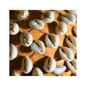 Coquillages cauris faits à la main de la mer du Vietnam Coquillages naturels pour la décoration, l'artisanat et la fabrication d'accessoires de mode - Product Image 2