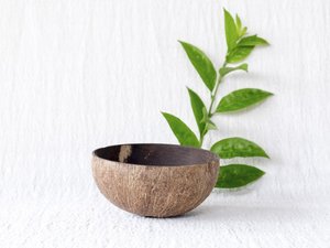 Smoothie Bowl <b>Tool</b> Polished Coconut Bowl Shell Disposable Eco-Friendly From Vietnam - Product Image 2