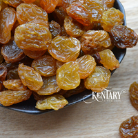 Raisins secs dorés, produit sucré, fruits en vrac, fournisseur vietnamien, collation quotidienne, prix d'usine, sans gluten, pour pique-nique