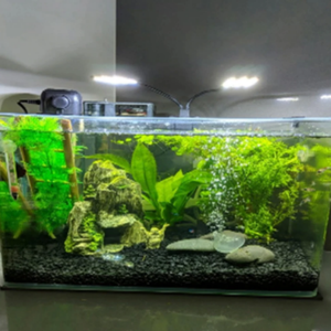 Éclairage <span class=keywords><strong>LED</strong></span> pour <span class=keywords><strong>aquarium</strong></span> super fin 15W, lumière de croissance pour plantes aquatiques, <span class=keywords><strong>lampe</strong></span> à clipser pour poissons, <span class=keywords><strong>nano</strong></span> aquariums - Product Image 6