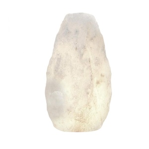 Lampe en sel sculptée 100% pure, biologique, blanche de l'Himalaya, modèle SE-4588, disponible ici, de la meilleure qualité - Sian Enterprises - Product Image 4
