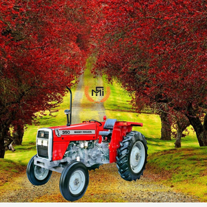 Brands of <b>Tractors</b> Including Massey Ferguson MF 35O - Product Image 3