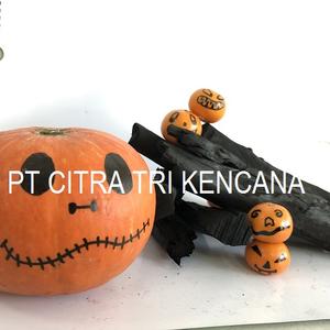 NEW YEAR 2020 CELEBRATION SALE HALABAN CHARCOAL HARD WOOD CHARCOAL BBQ GRILL 5-10 CM LONG, INDONESIA CHARCOAL Recife BRAZIL - Product Image 2